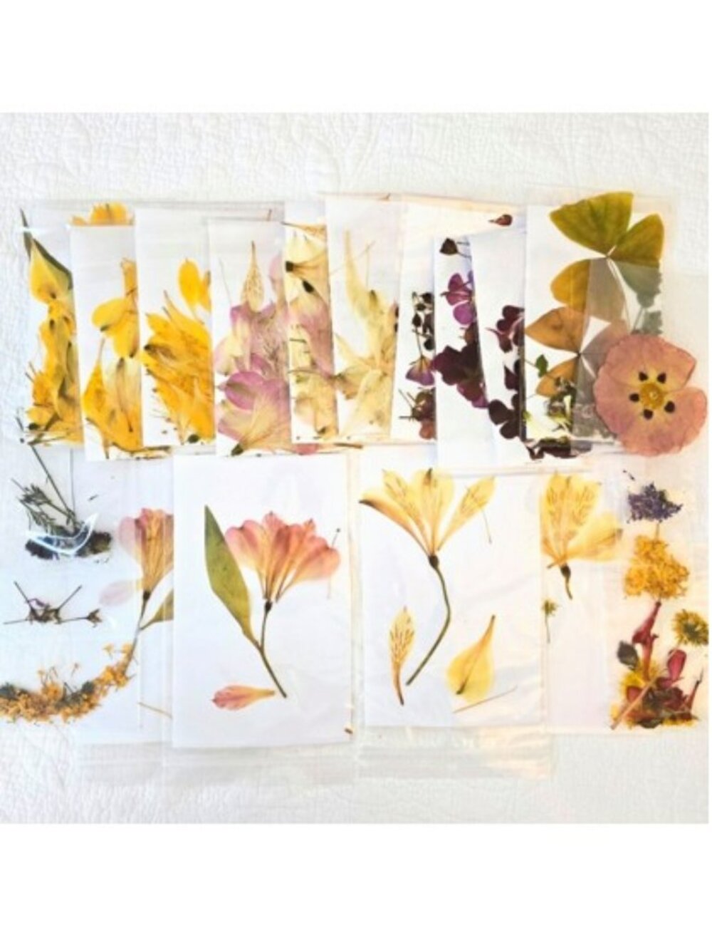 Pressed Dried Flowers Card Making Resin Art DIY Crafts Decorating Petals Candles